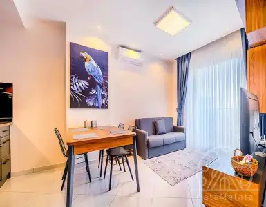 Buy in Turkey for 99000€