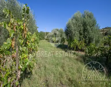 Buy in Italy for 330000€