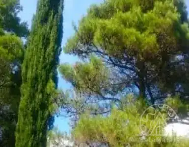 Buy in Montenegro for 550000€