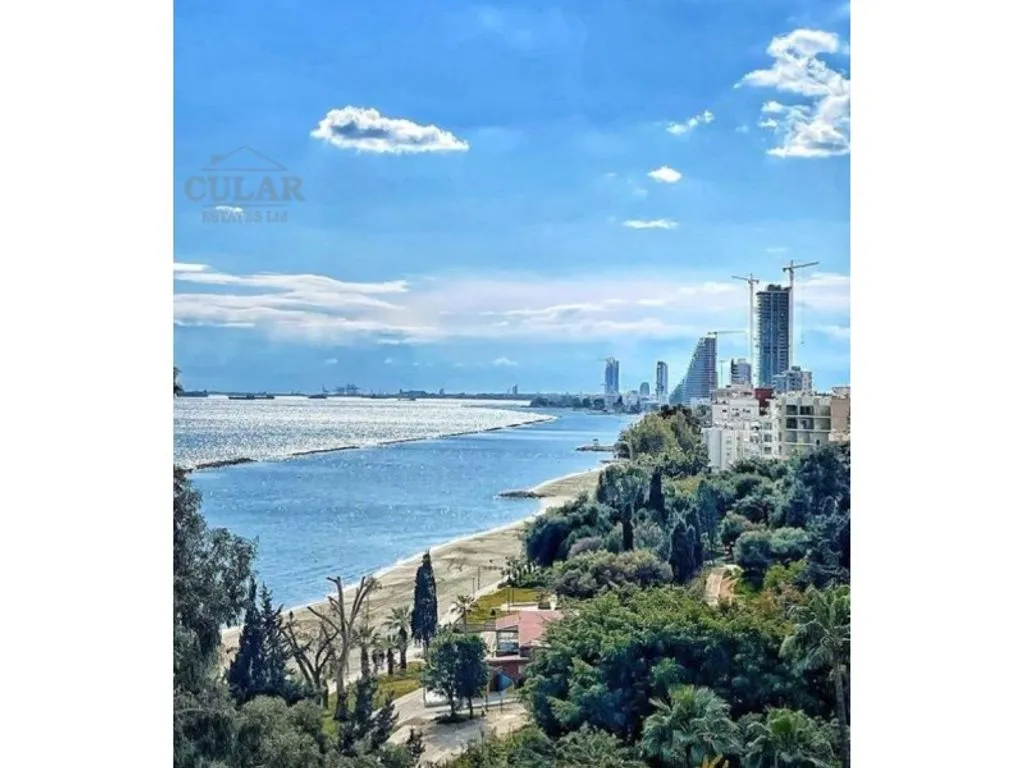 Flat 421m² in Cyprus, Limassol. Priced at 6070600€ rent photo-12