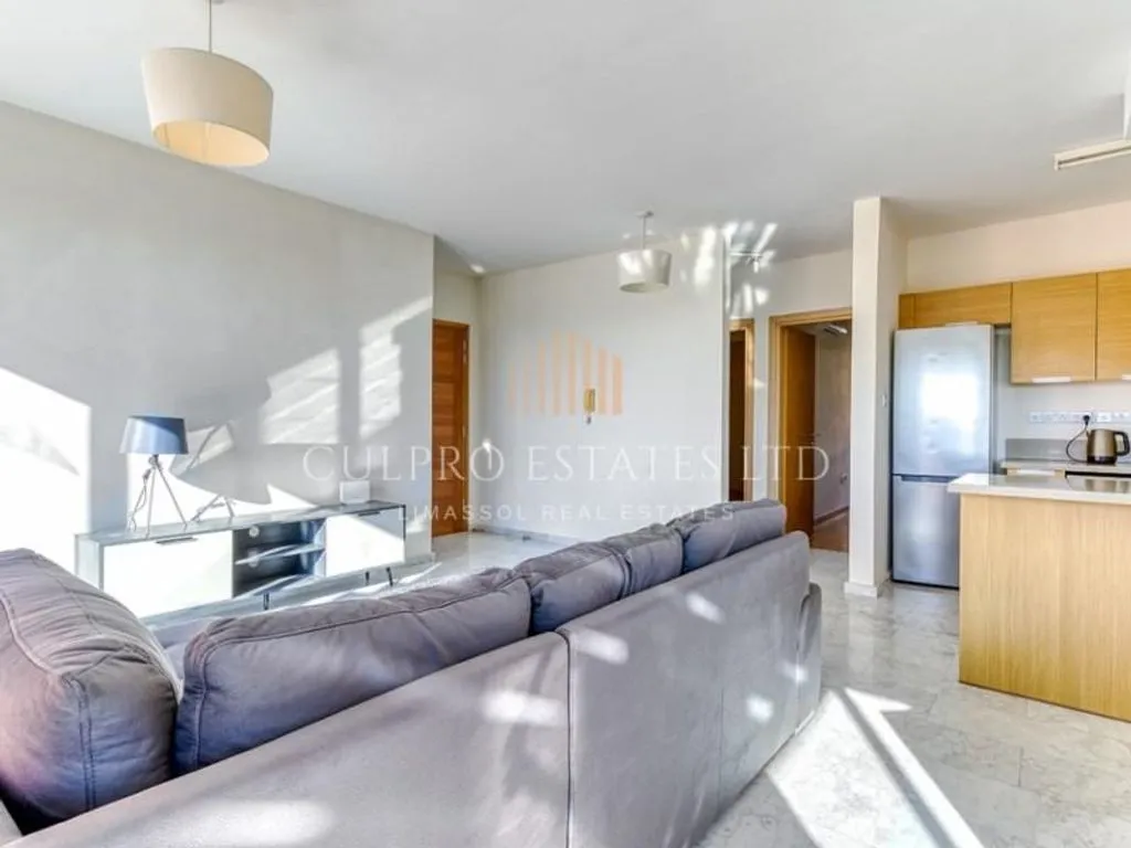 Flat 114m² in Cyprus, Limassol. Priced at 4350€ rent photo-18