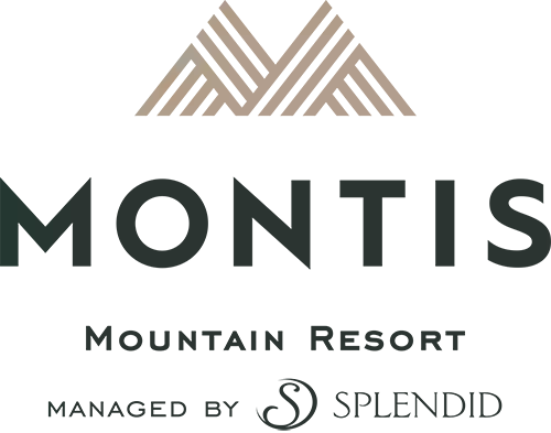 Montenegro Luxury Hotels and Resorts